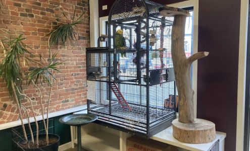 Natures Call Pet Shop Llc