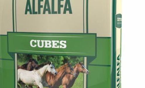 Green Savannah Nursery & Hardware