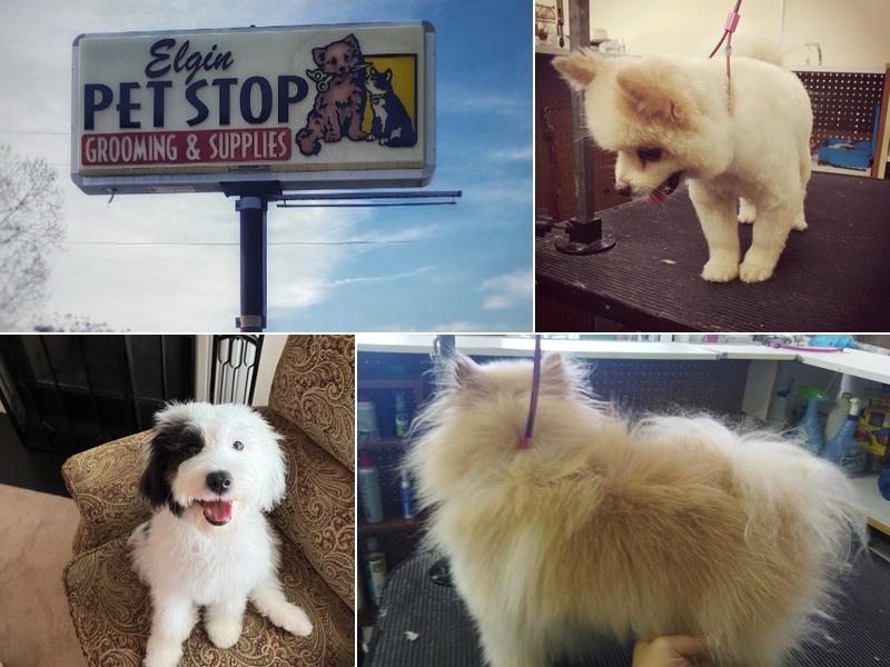 Elgin Grooming & Boarding
