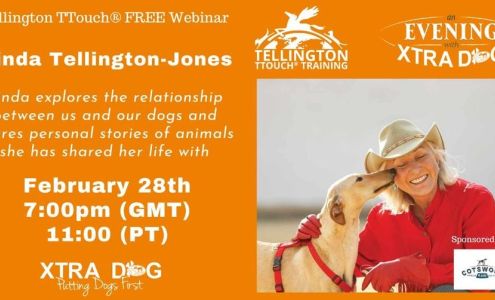 Tellington TTouch Training