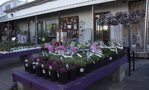 Scholze Ace Home Center Black River Falls