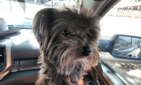 Bath Brush and Beyond