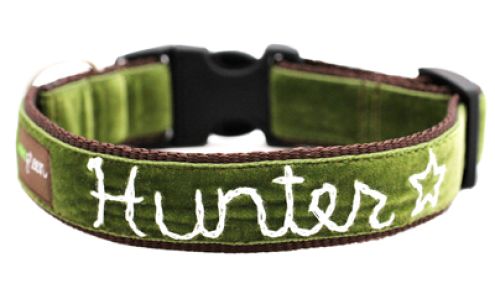 Mimi Green Albuquerque