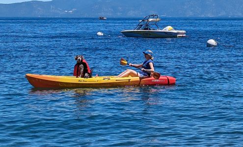 West Shore Sports Homewood