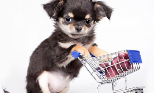 Spoiled Petz Grooming Salon