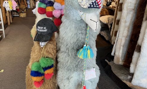 Alpaca Exotic Imports
