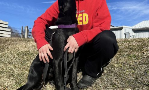 Diane's Pet Supplies & Adoption Center