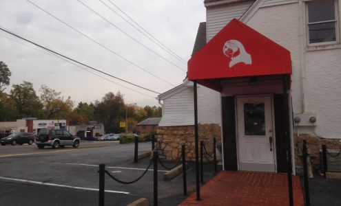 American Bird Company