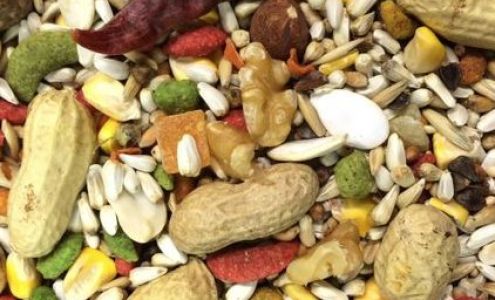 ANIMALS DIRECT CHOICE Taylor