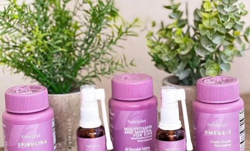 The Pink Thistle Saranac