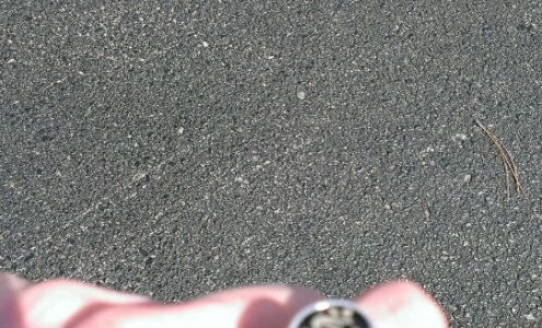 Erwin's Jewelers Co.