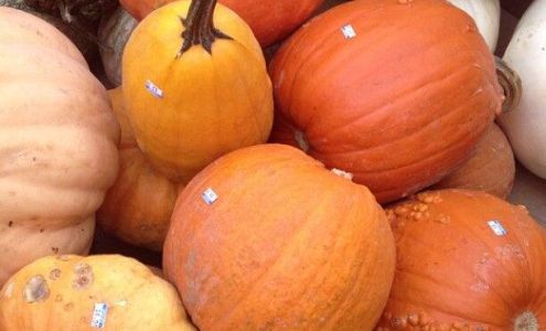 Mt Laurel Hardware Store