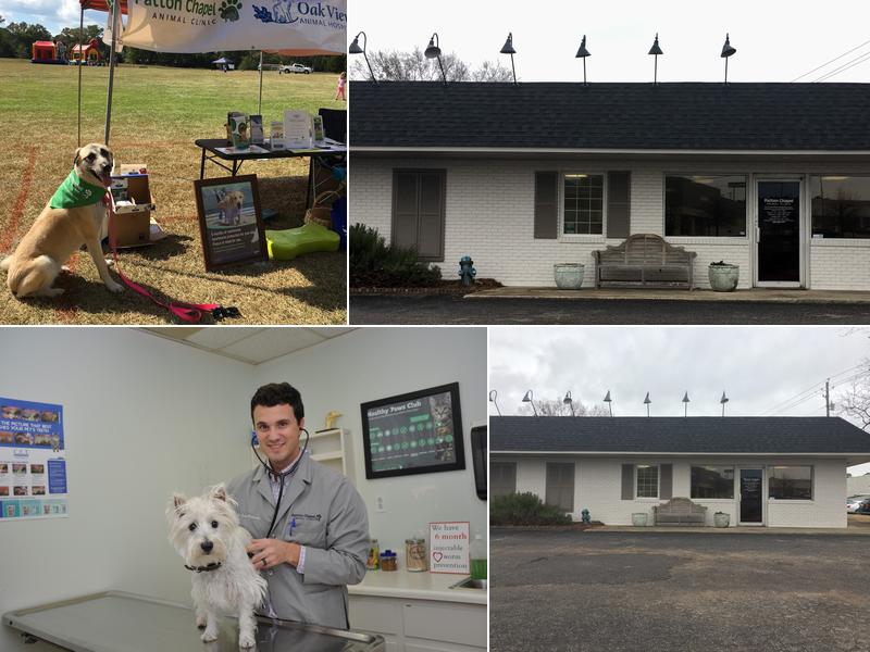 Patton Chapel Animal Clinic