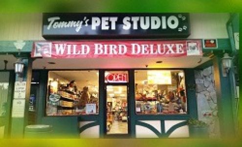 Tommy's Pet Studio