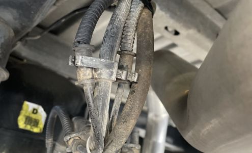 Alexandria Body Shop