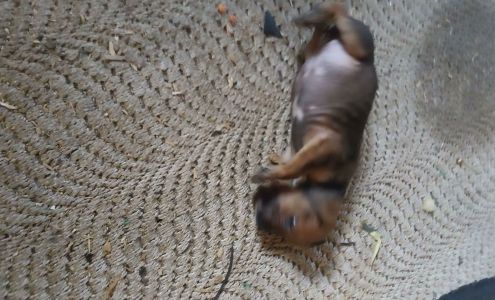 Mc Cutcheon-Love Furniture Co