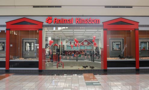 Animal Kingdom