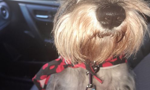 Arlington Pet Center Grooming - Family owned