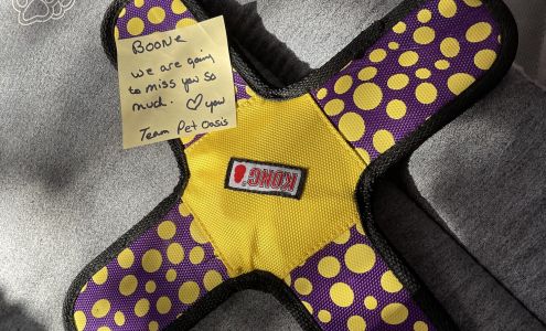 Pet Oasis Doggy Daycare and Spa