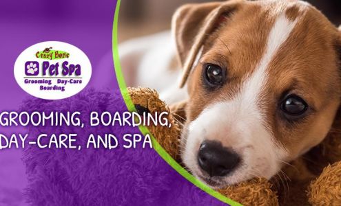 Crazy Bone Pet Spa