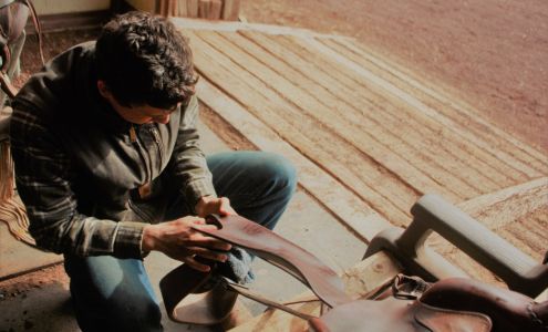 Hartman Outfitters, (horseback adventures) Flagstaff