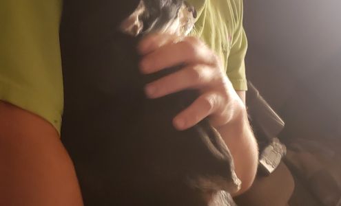 North Ridge Pet Cremation