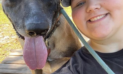 Homemade Hounds Bed & Biscuit