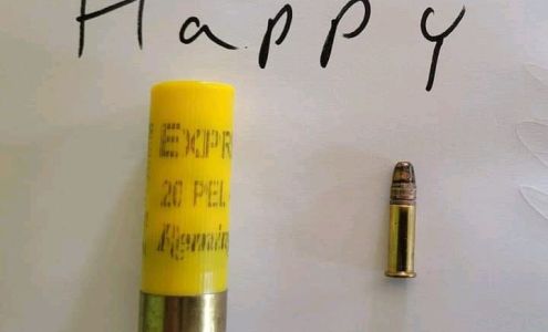 Jackson County Pawn Ravenswood