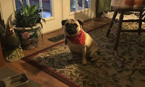 Ripley Pets and Supplies Evans