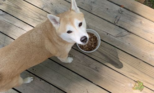 Beasty Treats Pet Supplies and Dog Grooming Spa Blakeslee