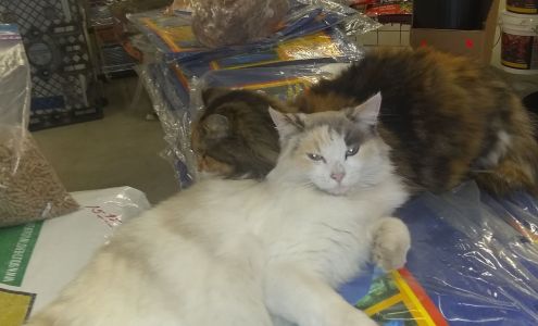 Final Touch Outdoors