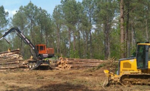 Donald Charles Timber Prentiss