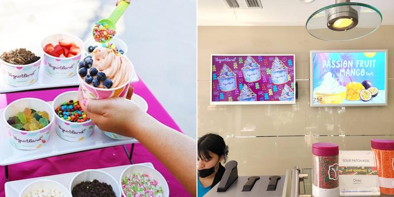 Yogurtland Santa Ana Menu