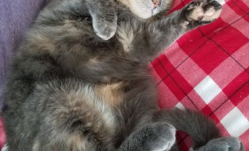 Second Chance East Aurora