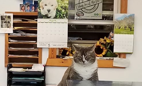 Bulldogs Feed Company East Aurora