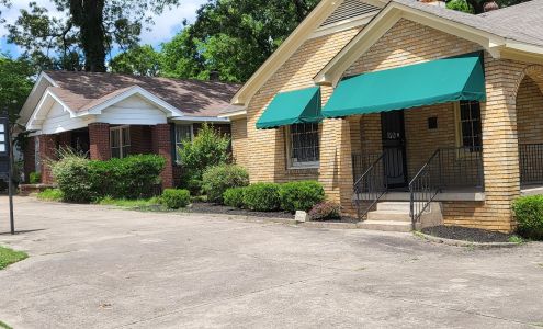 Stage Audio Electronics