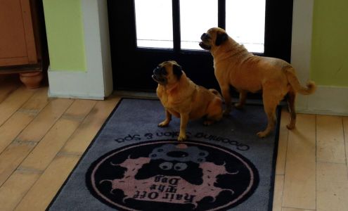 Hair Off The Dog Grooming Salon & Spa