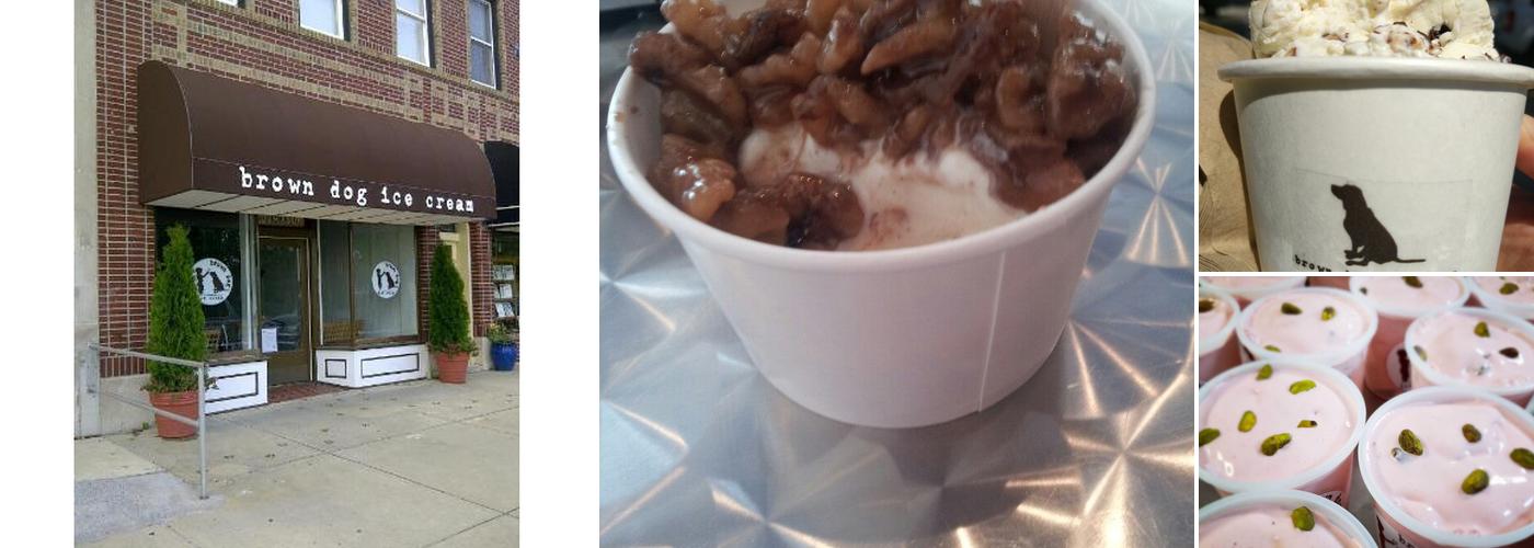 Brown Dog Ice Cream