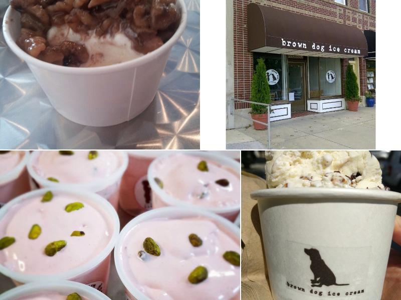Brown Dog Ice Cream