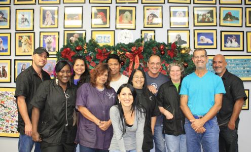 The Dog From Ipanema