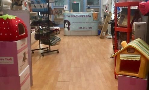 South Beach Pet Spa and Grooming