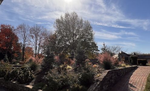 AMOREM Thrifts and Gifts