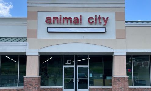 Animal City