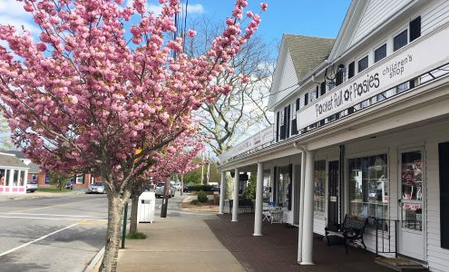 Pocket Full of Posies Osterville