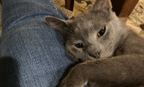 Friends of Plymouth Pound