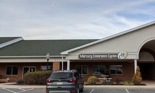 Mercury Endurance Cycles