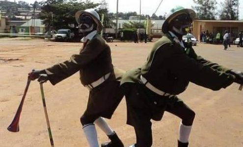 Navans Sport Shop Sterling