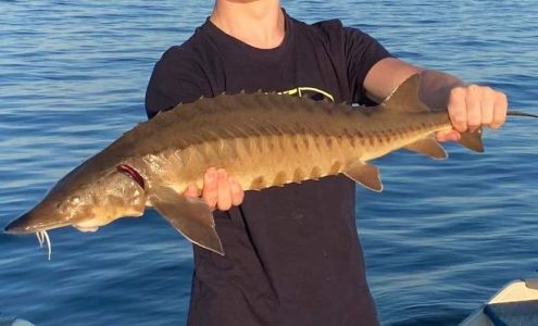 Off the Beaten Path Sporting Central Bridge