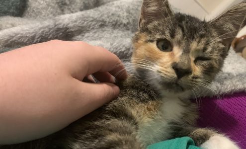 R J Pet & Kennel Supplies