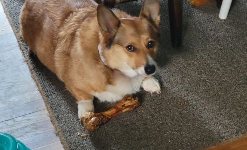 Litchfield Pet Supply